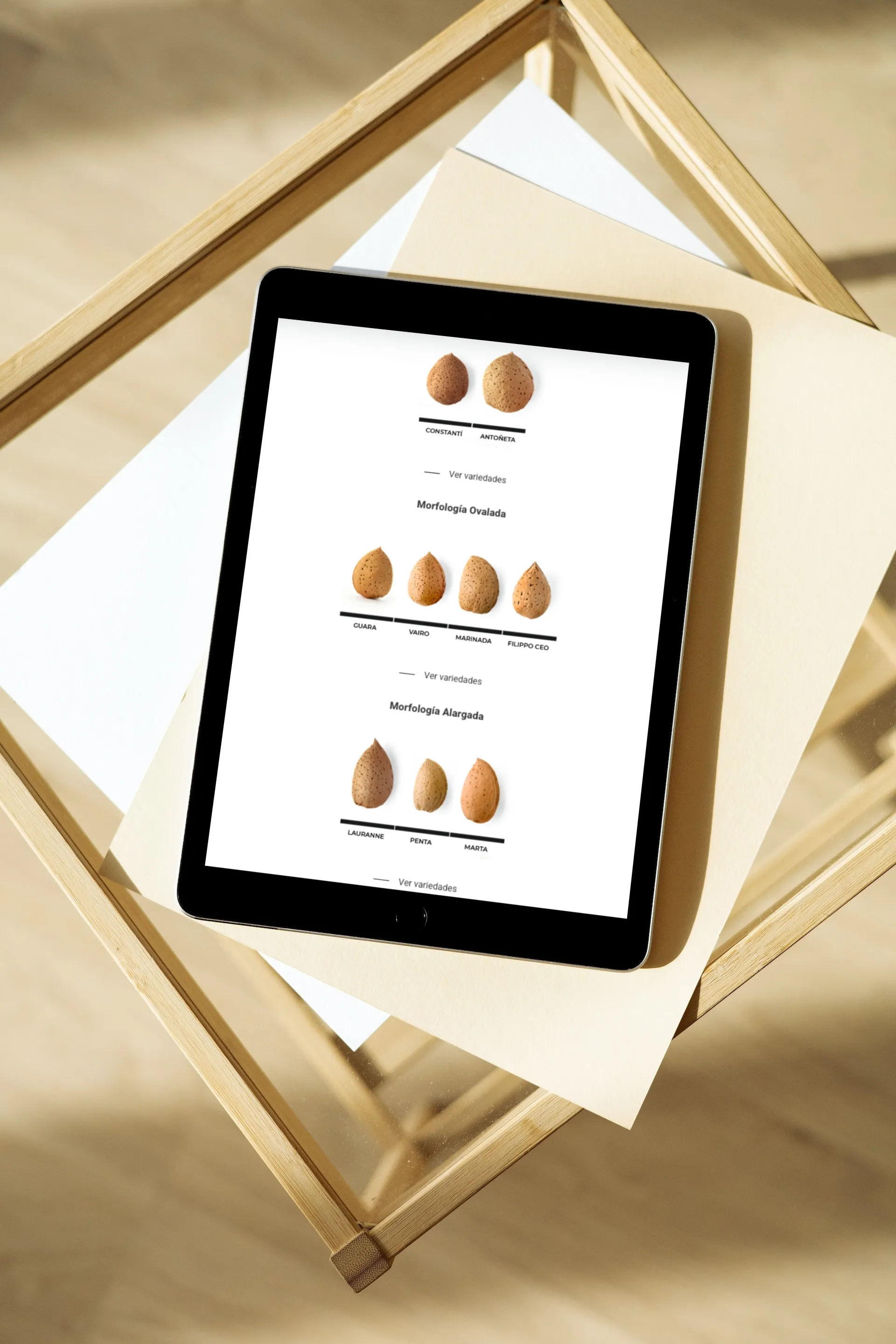 Cultiu i comercialització d'ametlles - Imatge 1