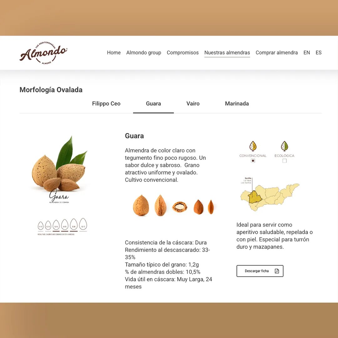 Cultiu i comercialització d'ametlles - Imatge 2