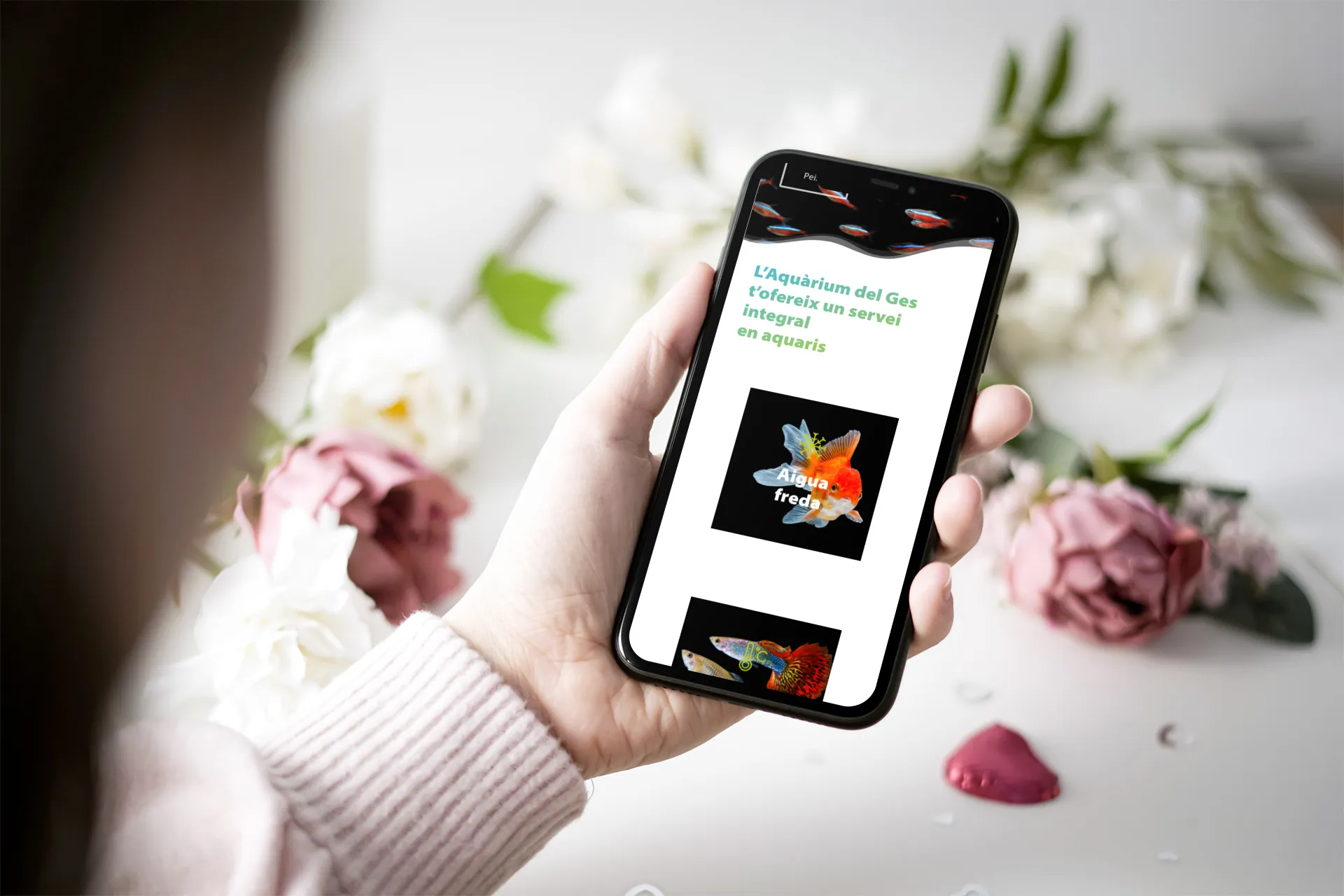 Aquàrium - Imatge 2