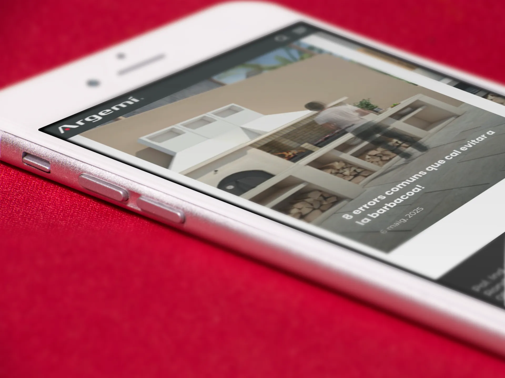 Barbacoes i xemeneies a mida - Imatge 1