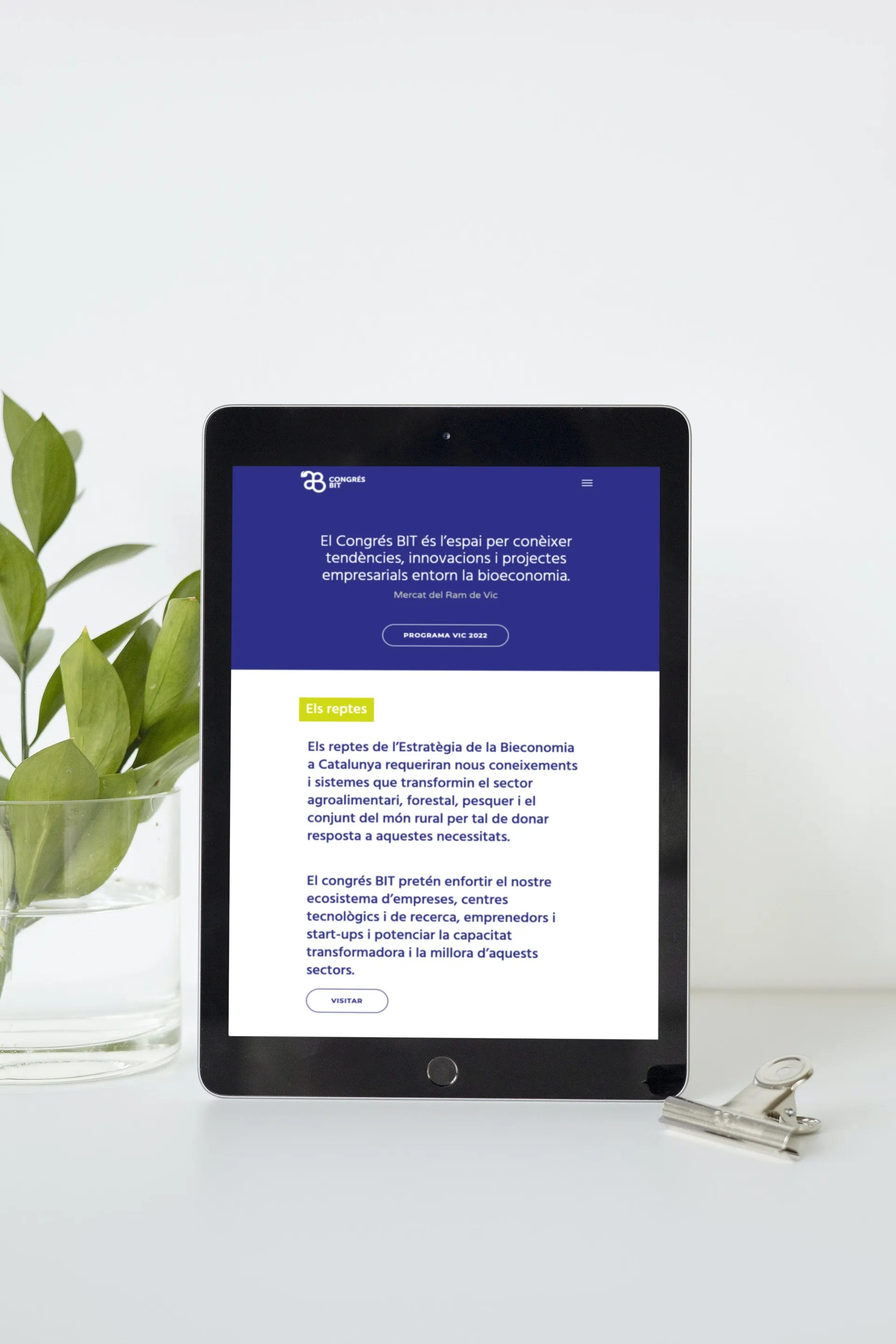 Congrés BIT - Imatge 2