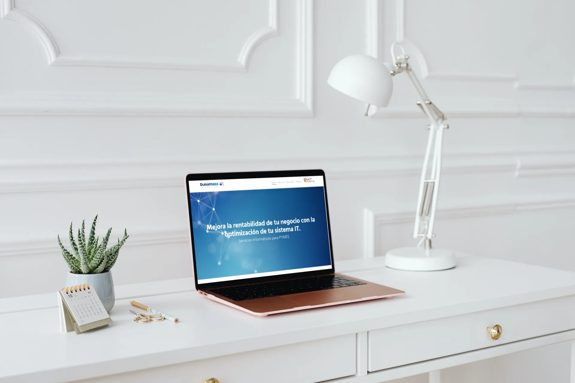 Serveis professionals IT