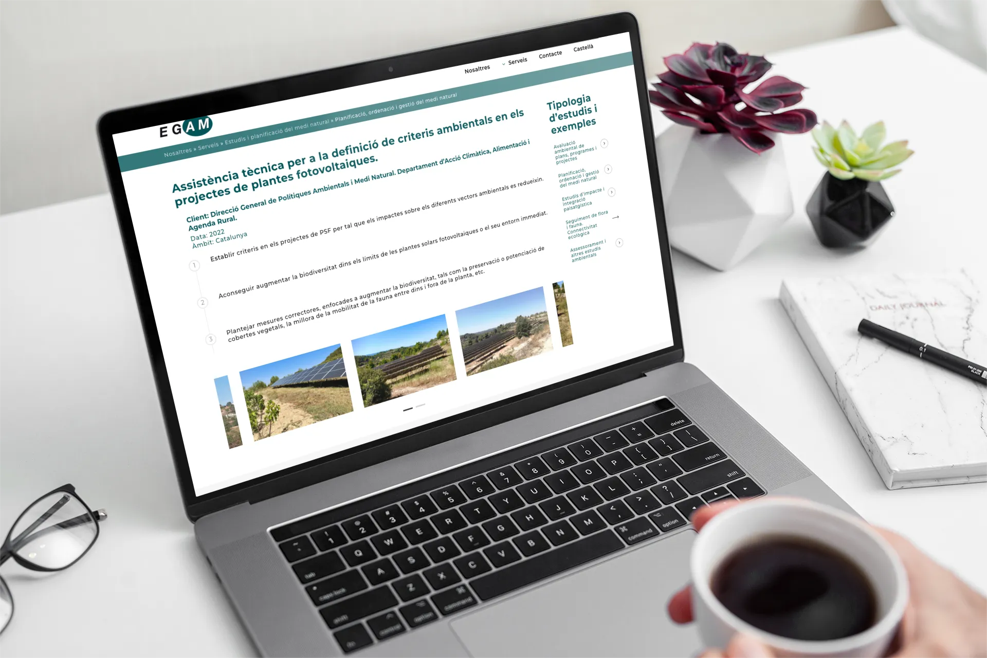 Consultoria ambiental