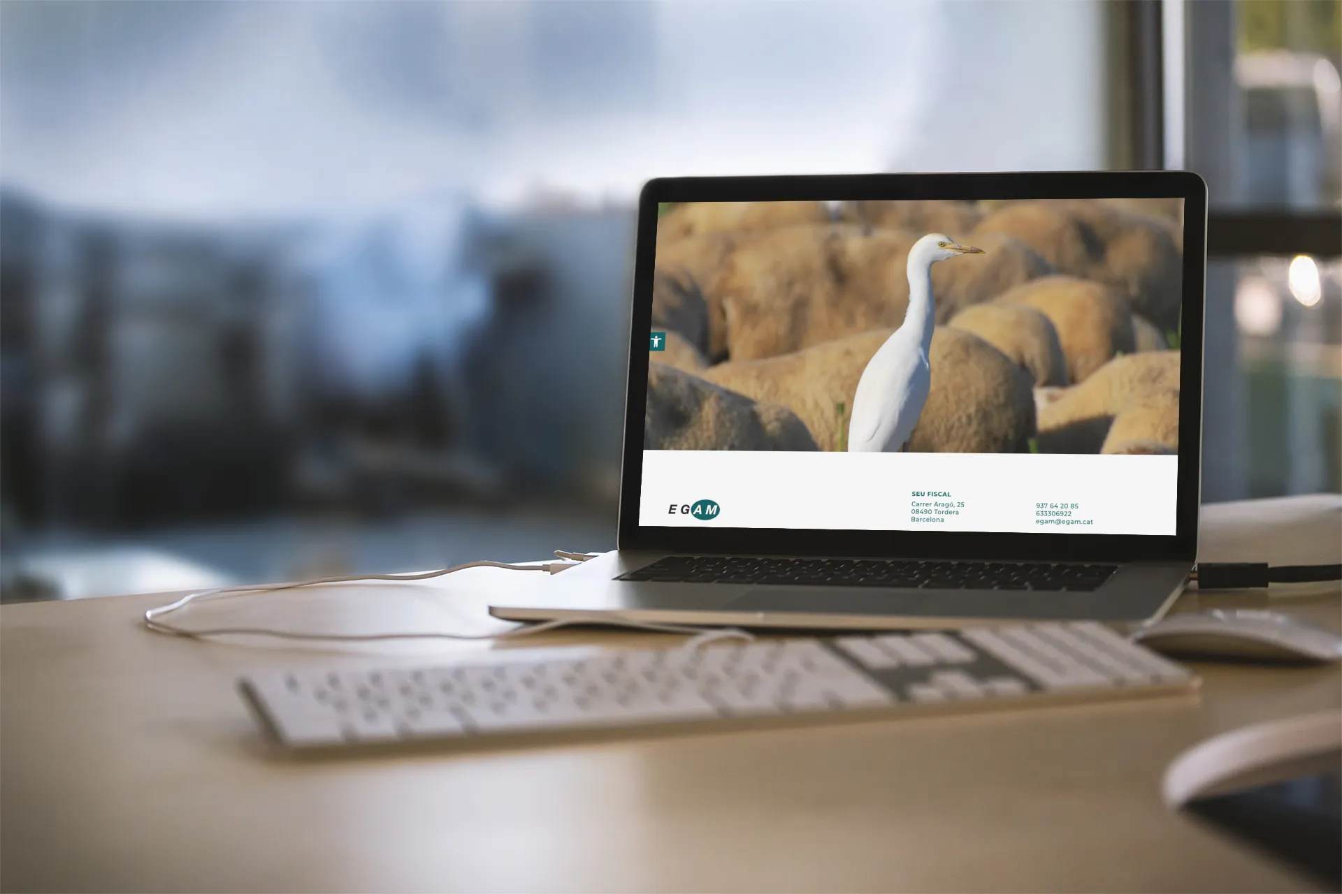 Consultoria ambiental - Imatge 2