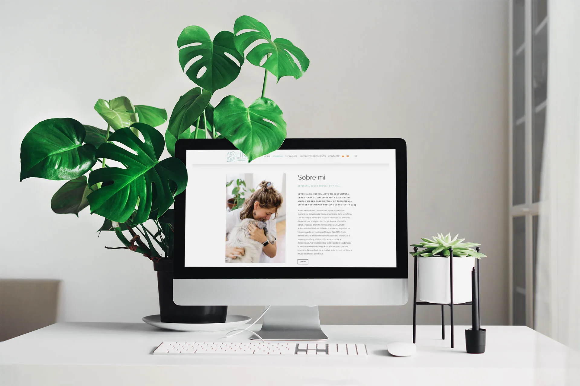 Acupuntura veterinària