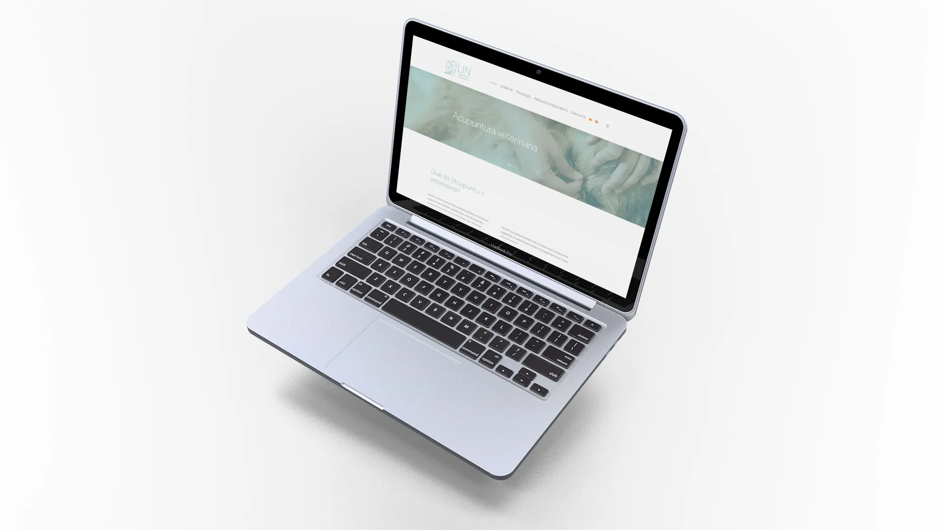 Acupuntura veterinària - Imatge 1