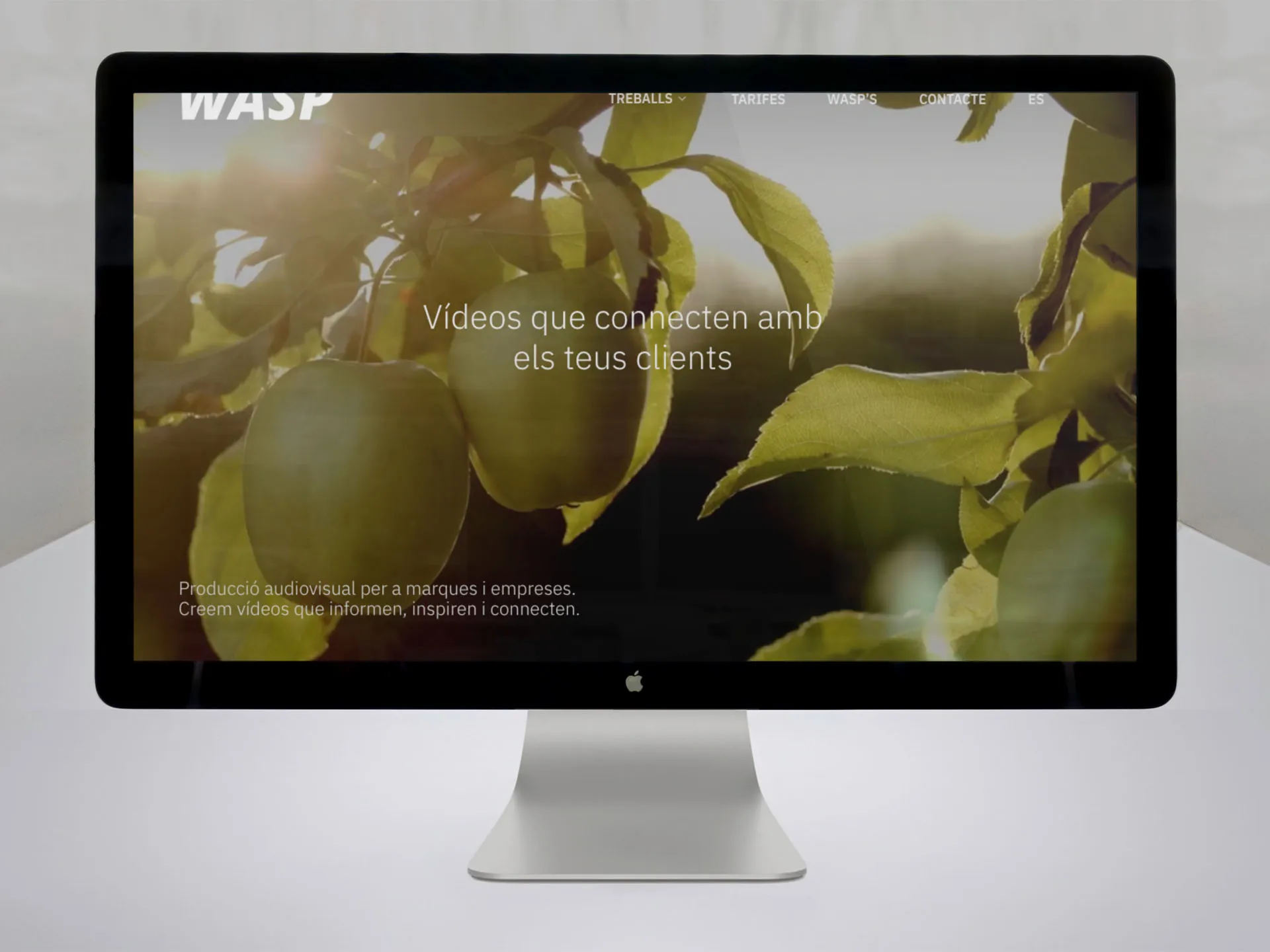 Producció audiovisual